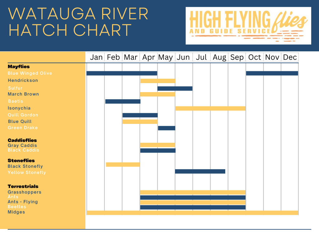 HFF Watauga Hatch Chart