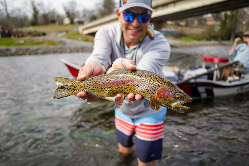 fly fishing in tennessee